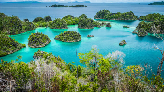 Raja Ampat