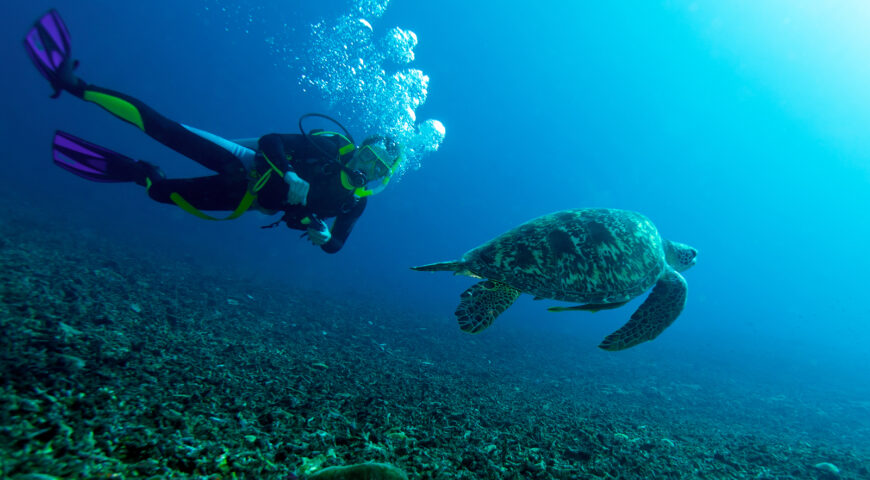 Dykning, Raja Ampat